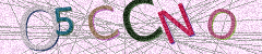 IMAGE_CAPTCHA_ALT