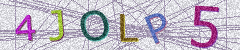 IMAGE_CAPTCHA_ALT