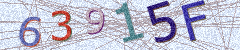 IMAGE_CAPTCHA_ALT