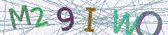 IMAGE_CAPTCHA_ALT