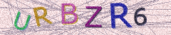 IMAGE_CAPTCHA_ALT