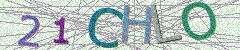 IMAGE_CAPTCHA_ALT