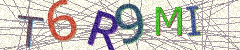 IMAGE_CAPTCHA_ALT