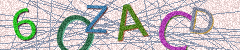 IMAGE_CAPTCHA_ALT