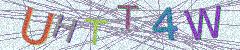 IMAGE_CAPTCHA_ALT