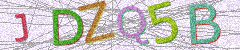 IMAGE_CAPTCHA_ALT