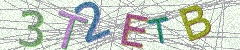 IMAGE_CAPTCHA_ALT