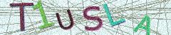 IMAGE_CAPTCHA_ALT