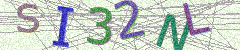 IMAGE_CAPTCHA_ALT