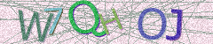 IMAGE_CAPTCHA_ALT