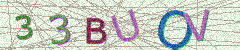 IMAGE_CAPTCHA_ALT