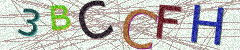 IMAGE_CAPTCHA_ALT