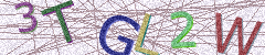 IMAGE_CAPTCHA_ALT
