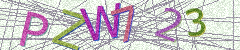 IMAGE_CAPTCHA_ALT