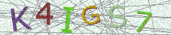 IMAGE_CAPTCHA_ALT