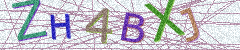 IMAGE_CAPTCHA_ALT