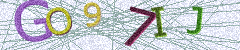 IMAGE_CAPTCHA_ALT