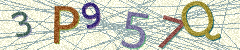 IMAGE_CAPTCHA_ALT