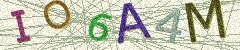 IMAGE_CAPTCHA_ALT