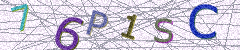 IMAGE_CAPTCHA_ALT