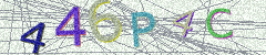 IMAGE_CAPTCHA_ALT