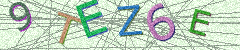 IMAGE_CAPTCHA_ALT
