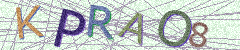 IMAGE_CAPTCHA_ALT