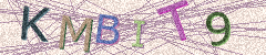 IMAGE_CAPTCHA_ALT