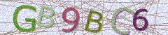 IMAGE_CAPTCHA_ALT