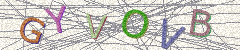 IMAGE_CAPTCHA_ALT