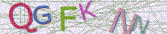 IMAGE_CAPTCHA_ALT
