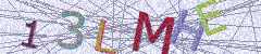 IMAGE_CAPTCHA_ALT