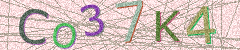 IMAGE_CAPTCHA_ALT