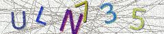 IMAGE_CAPTCHA_ALT