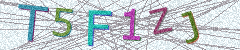 IMAGE_CAPTCHA_ALT