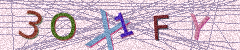 IMAGE_CAPTCHA_ALT