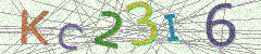 IMAGE_CAPTCHA_ALT