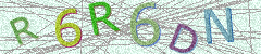 IMAGE_CAPTCHA_ALT