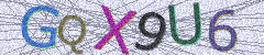 IMAGE_CAPTCHA_ALT