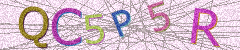 IMAGE_CAPTCHA_ALT