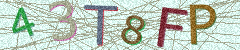 IMAGE_CAPTCHA_ALT
