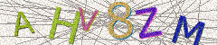 IMAGE_CAPTCHA_ALT