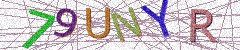 IMAGE_CAPTCHA_ALT