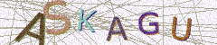 IMAGE_CAPTCHA_ALT