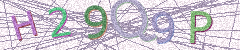 IMAGE_CAPTCHA_ALT