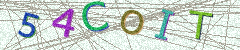 IMAGE_CAPTCHA_ALT