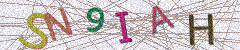 IMAGE_CAPTCHA_ALT