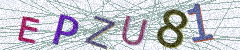 IMAGE_CAPTCHA_ALT