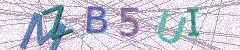 IMAGE_CAPTCHA_ALT