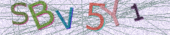 IMAGE_CAPTCHA_ALT